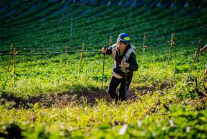 BIB: 
                            <button type="button" onclick="openModal(19160221)" class="btn btn-primary btn-sm float-right btn-popup" data-toggle="modal" data-target=".modal-high-quality">
                        <i class="fas fa-shopping-cart"></i> Add to Cart
                    </button>
                                            <button type="button" onclick="isThisMe(19160221, true)" class="btn btn-success btn-sm float-right btn-popup btn-isme hidden" data-toggle="tooltip" data-placement="bottom" title="นี่คือรูปของคุณใช่ไหม คลิกที่นี่เพื่อเอาเข้าอัลบั้ม">
                        <i class="fas fa-plus"></i> Add to album
                    </button>
                    <button type="button" onclick="isThisMe(19160221, false)" class="btn btn-warning btn-sm float-right btn-popup btn-isnotme hidden">
                        <i class="fas fa-ban"></i> Remove from album
                    </button>